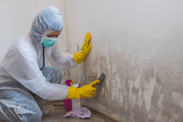 Best Water Damage Restoration  in Buffalo, WY