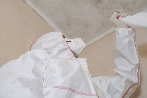 Best Crawl Space Mold Removal  in Buffalo, WY
