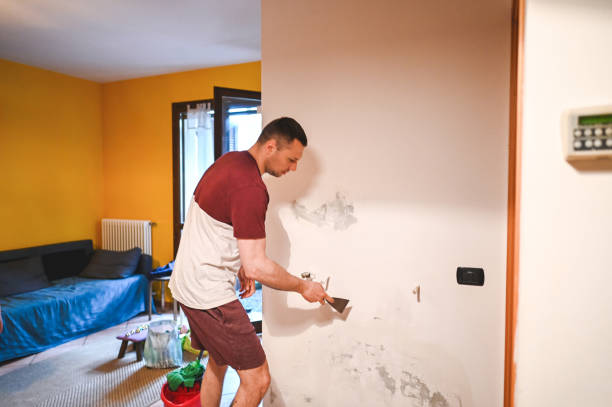 Best Mold Remediation  in Buffalo, WY
